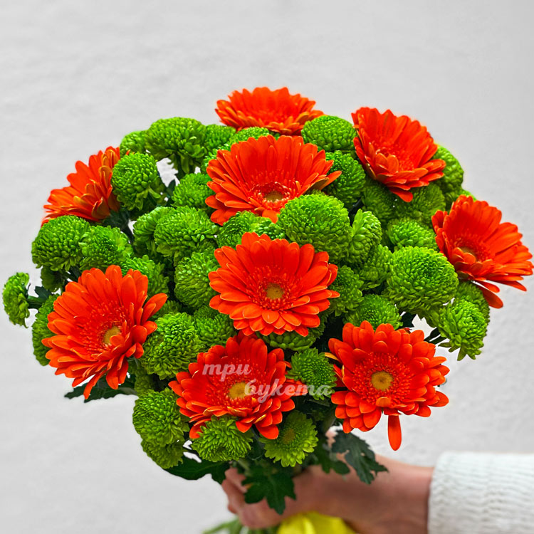 Букет из 9 гербер (крупный план)