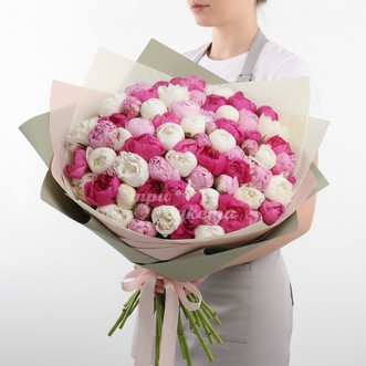 101 пион Mix в пленке 101 пион Mix в пленке