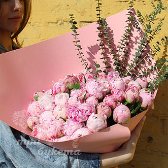 Пионы лиловый Premium 35 шт.