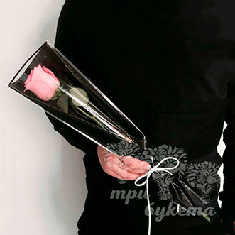 Мини-букет из розовой розы в пленке