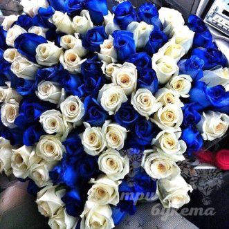101 белая и синяя роза (Premium)