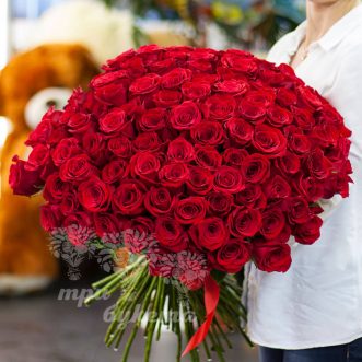 101 красная роза (Premium) 70 см