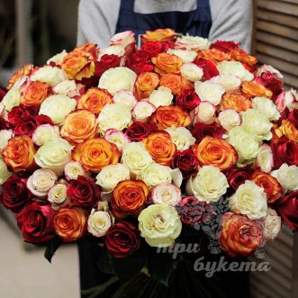 101 разноцв. роза (Premium) 80 см