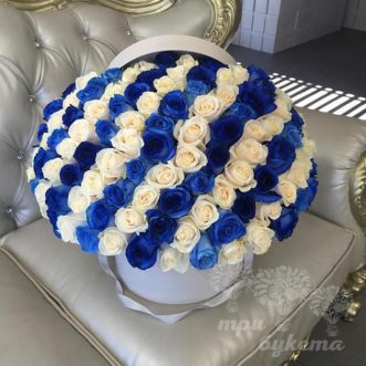 101 синяя и белая роза в коробке